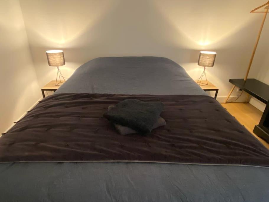 Bel Appartement Avec Balcon En Centre Ville Анже Экстерьер фото